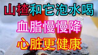 山楂和它泡水喝，血脂慢慢降，血管通暢，心臟更健康【侃侃養生】