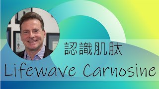 Carnosine Patch I 肌肽貼片 I 力量 I 耐力 I 運動 I David Schmidt I Sports I 中文字幕 I Lifewave Carnosine I x39