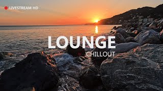 Chillout Lounge  🌴💜 Video Ultra HD