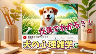 仕草でわかる？！犬の心理雑学　#犬#わんちゃん#ペット#雑学#心理#dog