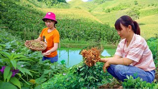 農場に住む30日間のフルビデオ|ガーデニング、繁殖、収穫|ファームガール