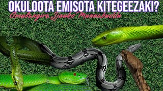 Okuloota emisota kitegeezaki? - Omulangira Jjuuko Munabuddu