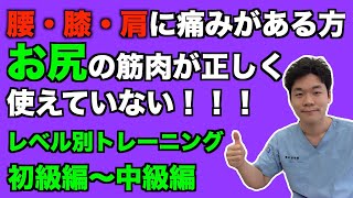 【浜松　腰痛】お尻の筋トレごまかしなく確実に鍛える方法！大臀筋トレーニング初級〜中級編 慢性腰痛専門整体院松華-SYOUKA-