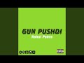 Gun Pushdi