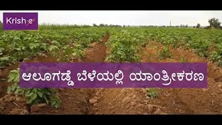 ಆಲೂಗಡ್ಡೆ ಬೆಳೆಯಲ್ಲಿ ಯಾಂತ್ರೀಕರಣ | Mechanization of Potato Crop