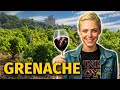 GRENACHE / GARNACHA Grape: The Wine World's Next Big Thing!