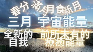 2025年 三月份 宇宙能量 前所未有巨大的療愈力量 完全嶄新的自我 #三月宇宙能量 #春分 #滿月 #月食 #扎根