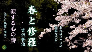 【春と修羅】宮沢賢治が見た世界を、美しい自然の映像とともにお届けします🌙宮沢賢治の詩の世界を旅しませんか？#宮沢賢治,#春と修羅,#文学動画,#詩の世界,#心象スケッチ,#日本文学,#癒しの映像