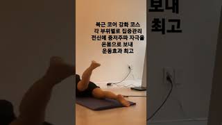 급격히 찐살 급하게 다이어트 해야할땐 라라ems