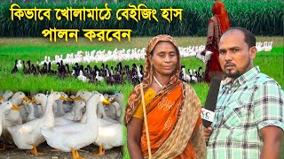 কিভাবে,বেইজিং হাঁস, খোলা মাঠে পালন করা সম্ভব!খামার চিত্র।01722047706.পর্ব৫৭kc