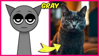 INCREDIBOX SPRUNKI Characters, but PETS?! + Guess the Voice Quiz + Their Favorite Things! | Grey