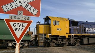 7731V Pacific National Grain Train At Railway Crossing (8/7/2021) - PoathTV Australian Railroads