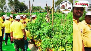 AKSHAY SEEDS SOUTH R\u0026D CROP SHOW 2024