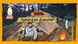 تخييم في جدع شجرة #adventure #سفر #camping #algeria