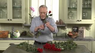 Floral Thorn and Leaf Stripper | Protect Your Flowers and Your Hands with Chrysal's Innovative Tool