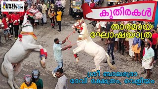 Sri Bala Bhadra Devi Temple Veliyam @Jewel Junction