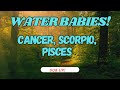 WATER BABIES! #Cancer #Scorpio #Pisces & Live Personal Readings! (TIMELESS)