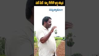 పవర్ వీడర్  కన్నా రోబోతో ఖర్చు తక్కువ |#shorts #trending #farmer #robot #agriculture #viral #farming