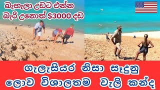 ලොව විශාලතම ස්වභාවික වැලි කන්ද😲😲 /#Sand Dune#, Michigan USA/$3,000 if you don’t climb up