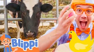 Blippi's Egg Hunt at Old MacDonald's Farm! Nursery Rhymes for Kids