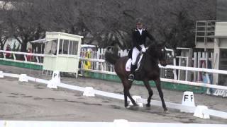 H28 第69回東京六大学馬術大会　第77回東京八大学馬術大会　学生賞典馬場馬術競技　3年下谷田優　桜笛