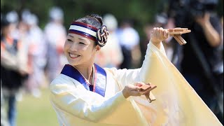 『踊り陣 叶和』2024 川棚菜の花よさこい祭り【練り歩き】