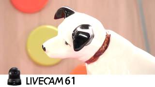 LiveCAM61テスト撮影