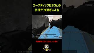 コースティックとSGは相性良すぎて最強！