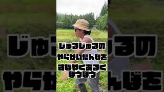 Tips for quickly walking in soft rice fields#Shorts