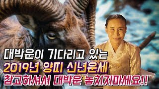 2019년 양띠 신년운세! 양띠는 놓치면 후회할 이야기 [용한점집 꽃대신당]