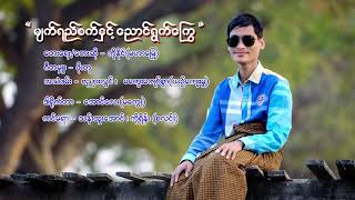 ကိုနိုင် (မဟာမြေ) ❤️ မျက်ရည်စက်နှင့် ညောင်ရွက်ကြွေ