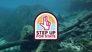 The Headwaters Fund - Step Up for State 2022