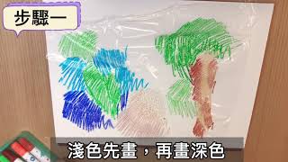 《宅在家藝術系列》01.把雨林帶回家