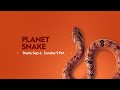 The Majestic Slytherins | Planet Snake | National Geographic