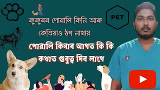 Puppy buying guide ।। কুকুৰ পোৱালি এটা আপুনি ৰাখিব পাৰিব নে?? @ASSAMESEVET