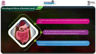 FFN   Prebiotics   Resistant Starch