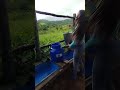 ajudando meu marido tirar leite fazenda vidasimplesdocampo estilodevidarural gado