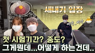 [슬기로운 로사생활 VLOG #3] 다들 새내기였던 시절이 있잖아...? 22학번 새내기 로사들의 뚝딱뚝딱 브이로그 | 코시국 새내기의 첫 이화 캠퍼스 투어