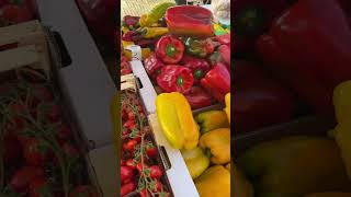 My Farmers Market Trip in Azzano Decimo Italy | Lifestyle Choices