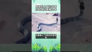 眼鏡蛇上門討水喝 村民做出震驚之舉#寵物 #動物 #可愛