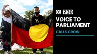 Indigenous leaders call for a referendum on a First Nations Voice to Parliament | 7.30