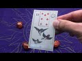 lenormand significado los pajaros