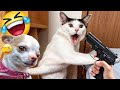 Funniest Cats And Dogs Videos🤣- Best Funny Animal Videos 2024😻Part 18
