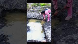 পাহাড়ি নদীর স্রোতের থেকে পাই অসংখ্য মাছ তাজা রুই মাছ গুলো ভাজা করে খাই #yt