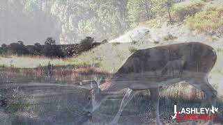 Wildlife at Pine Ridge Rec Oasis