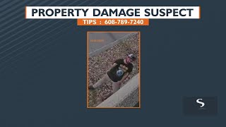 Property damage suspect