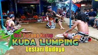 KUDA KEPANG _SANGAR LUR | LESTARI BUDOYO JAMBON LAMUK KALIWIRO WONOSOBO