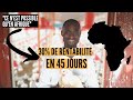 Elevage de poulets de chair et pondeuses : 30% de rentabilité en Afrique