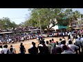 singampunari jallikattu videos