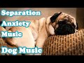 💖Soothing Separation Anxiety Jitters🎵Effective Strategies for Promoting Deep Sleep in Puppies🐶